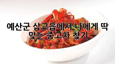 예산군 삽교읍에서 나에게 딱 맞는 중고차 찾기!